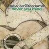 Cover-new_amsterdams-never_you_mind_medium