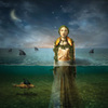 Cover-the_bled-found_in_the_flood_medium