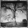 Cover-no_motiv-daylight_breaking_medium