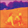 Cover-eels-blinking_lights_and_other_revelations_medium