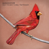 Aof_albumgraphic150_medium